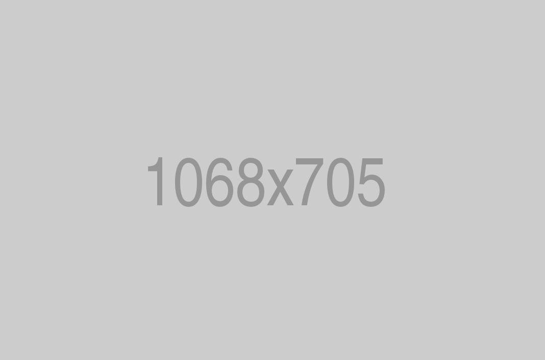 divi-food-store-7