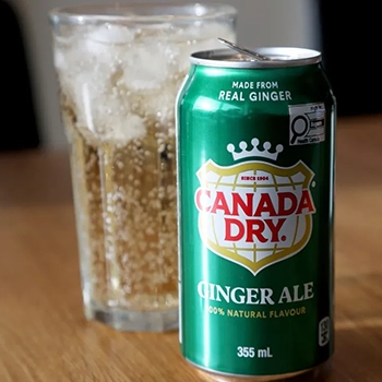 Ginger Ale (can)